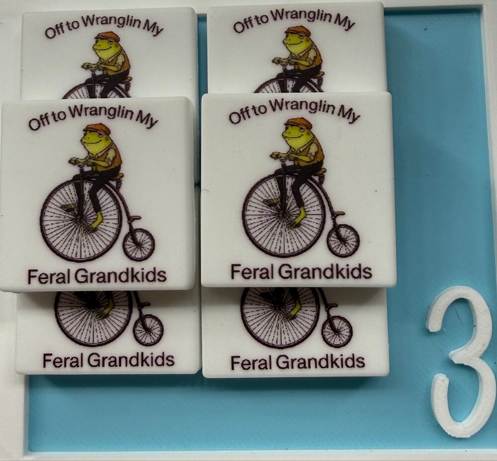 Set of 6 Snarky Feral Grandkids Silicone Focals for Pens Keychains Crafts funny